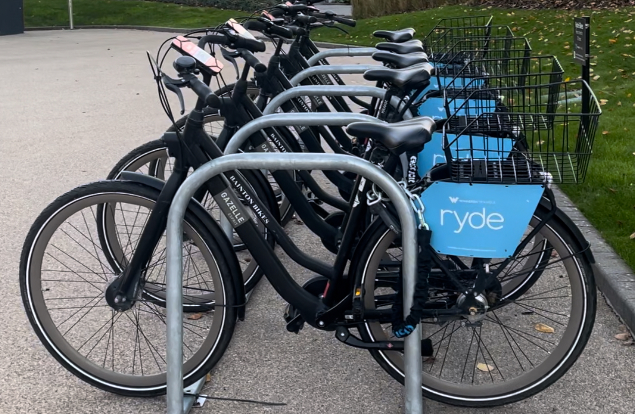 A row of black hire bicycles with blue ryde baskets are parked and secured at a bike rack on a paved surface near grass.